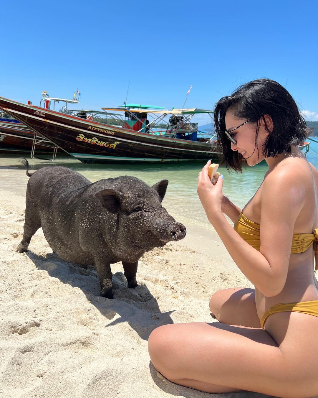 Pig Island Koh Madsum – Top private charter destination from Koh Samui